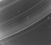 Image of Uranus' Rings