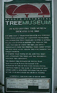 [De Soto Tree Museum Plaque]