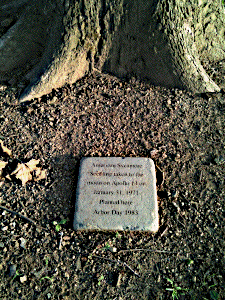 [Dillsburg Moon Tree base and plaque]