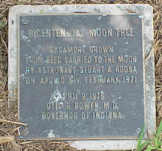[Indianapolis Moon Tree Plaque]