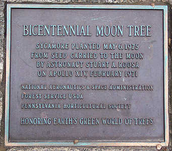 [Philadelphia Moon Tree Plaque]