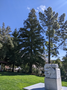 [Mission Plaza Moon Tree and Statue]