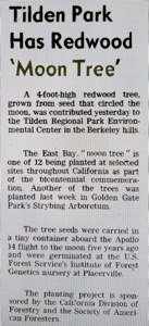 [Tilden Park Moon Tree Article]