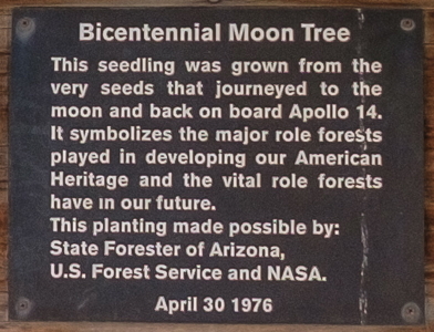 [U of Arizona Moon Tree Plaque]