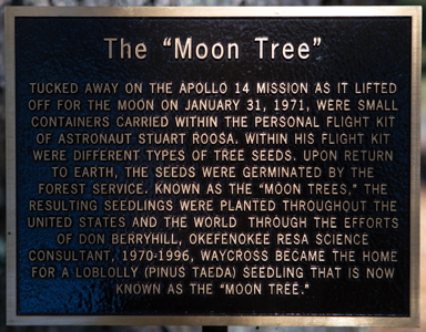 [Okefenokee RESA Moon Tree Plaque]