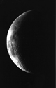 Image of Earth's Moon