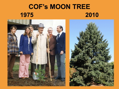 [COF Moon Tree celebration]