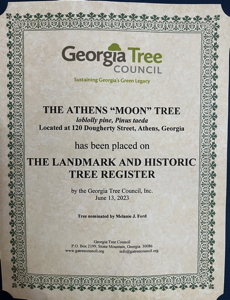 [Athens Moon Tree Certificate]
