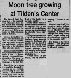 [Berkeley Gazette Article on the Moon Tree]