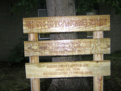 [Albert Patrick Moon Tree Plaque]