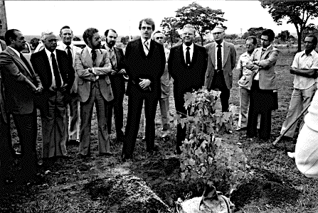 [the Brazil Moon Tree Planting]