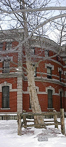 [Cambria County Courthouse Moon Tree]