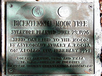 [Cambria County Courthouse Moon Tree Plaque]