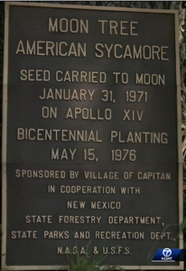 [Moon Tree Plaque]