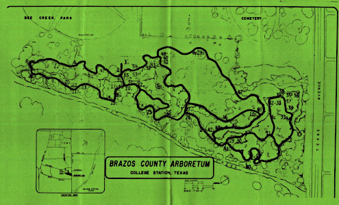 arboretum map
