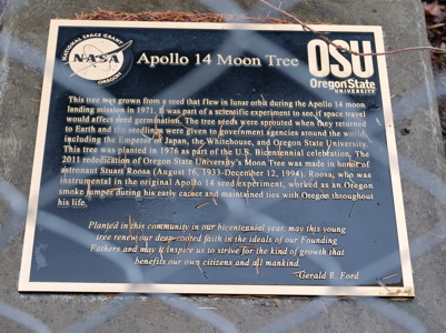 [Oregon State Univ. Tree Plaque]