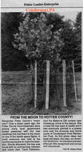 [Coudersport Moon Tree News Picture]