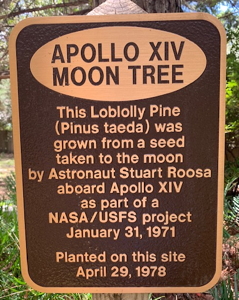 [Forest Capitol Moon Tree Plaque]