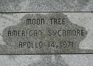 [Plaque on the Forest of Friendship Tree - 2002]