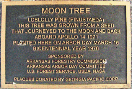 [Fort Smith Moon Tree Plaque]