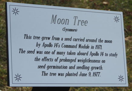 [Goddard Moon Tree Marker]