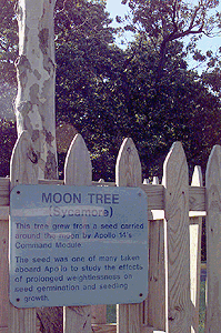 [Goddard Moon Tree Plaque]