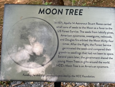 [Haywood C.C Moon Tree plaque]