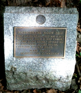 [Highland Hall Moon Tree Plaque 2012]