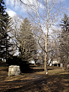 [Highland Hall Moon Tree]