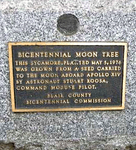 [Highland Hall Moon Tree Plaque]