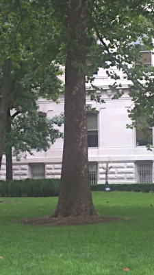 [Indianapolis Moon Tree]