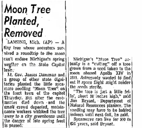 [Moon Tree Article]