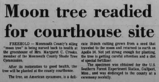 [Article on Monmouth County Moon Tree]
