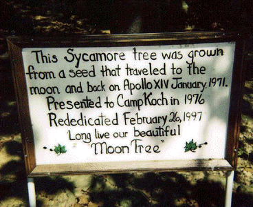 Image of Moon Tree Plaque at Camp Koch, Indiana