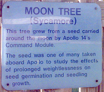 Image of Moon Tree Plaque at Goddard