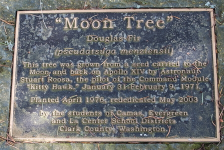 [Olympia Moon Tree]