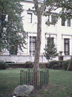 [Philadelphia Moon Tree]