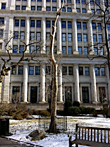 [Philadelphia Moon Tree]