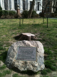 [Philadelphia Moon Tree Plaque]