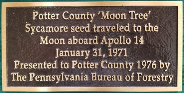 [Coudersport Moon Tree Plaque]