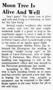 [Coudersport Moon Tree Article]