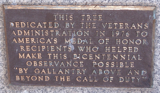 [Roseburg Moon Tree Plaque]