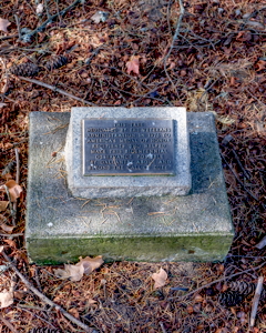 [Roseburg Moon Tree Plaque]