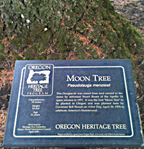 [Salem, Oregon Moon Tree Plaque]