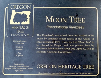 [Salem, Oregon Moon Tree Plaque]