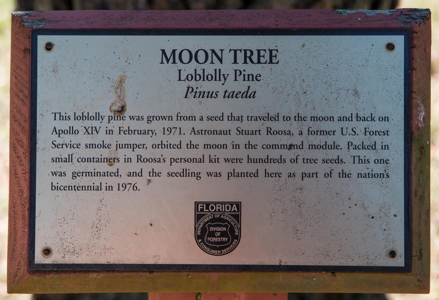 [Doyle Conner Moon Tree Plaque]