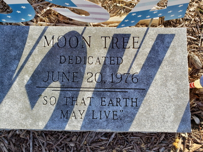 [Topton Moon Tree Plaque]