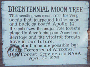 [U of A Moon Tree Plaque]