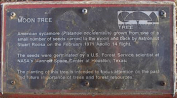 [Plaque at the Walther Park Tree]