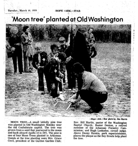 [Old Washington Park Moon Tree Article]